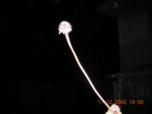 NssCamp2005-123